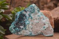 Natural Blue Chrysocolla On Silky Malachite Matrix Specimen  x 1 From Kulukuluku, Congo - Toprock Gemstones and Minerals 