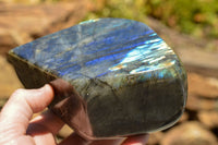 Polished Labradorite Standing Free Forms With Intense Blue & Gold Flash x 2 From Sakoany, Madagascar - TopRock