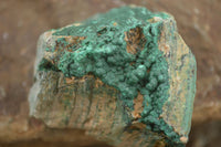 Natural Micro Botryoidal Crystalline Malachite Specimens  x 19 From Tenke Fungurume, Congo - TopRock