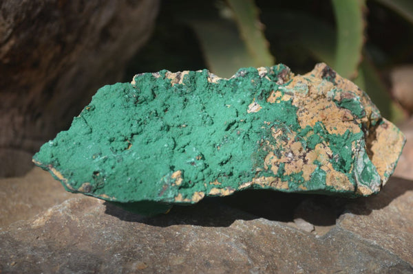 Natural Micro Botryoidal Crystalline Malachite Specimens  x 2 From Congo