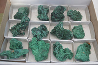 Natural Chatoyant Silky Malachite Specimens  x 13 From Kasompe, Congo - Toprock Gemstones and Minerals 