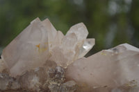 Natural Quartz Crystal Clusters  x 2 From Karoi, Zimbabwe - TopRock