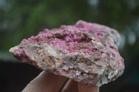 Natural Extra Large Salrose Cobaltion Dolomite Specimens x 2 From Kakanda, Congo - Toprock Gemstones and Minerals 