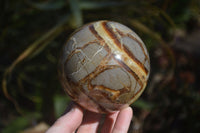 Polished Septaria Spheres x 2 From Mahajanga, Madagascar