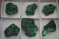 Natural Chatoyant Silky Malachite Specimens  x 6 From Kasompe, Congo - Toprock Gemstones and Minerals 