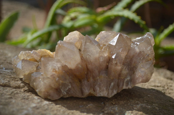 Natural Smokey Quartz Clusters x 2 From Congo