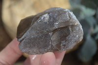 Natural Smokey Quartz Crystal Specimens x 12 From Mulanje, Malawi