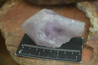 Natural Single Jacaranda Amethyst Crystals  x 12 From Zambia - Toprock Gemstones and Minerals 