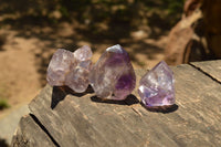 Polished Skeletal Smokey Amethyst Window Quartz Crystals  x 12 From Madagascar - TopRock