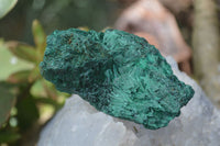 Natural Chatoyant Silky Malachite Specimens  x 6 From Kasompe, Congo - TopRock