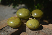 Polished Green Opal Palm Stones  x 12 From Madagascar - Toprock Gemstones and Minerals 