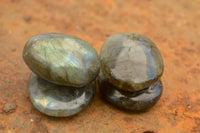 Polished Flashy Labradorite Palm Stones  x 24 From Tulear, Madagascar - TopRock