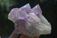 Natural Jacaranda Amethyst Clusters x 2 From Mumbwa, Zambia - TopRock