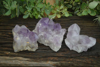 Natural Jacaranda Amethyst Clusters  x 3 From Mumbwa, Zambia - Toprock Gemstones and Minerals 