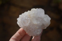 Natural White Cactus Flower Spirit Quartz Specimens x 6 From Boekenhouthoek, South Africa