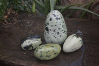 Polished Spotted Leopard Stone Free Forms  x 4 From Zimbabwe