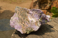 Natural Extra Large Rough Stichtite & Serpentine Specimen  x 1 From Barberton, South Africa - TopRock