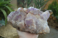 Natural Jacaranda Amethyst Cluster x 1 From Mumbwa, Zambia - TopRock