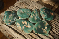 Polished  One Side Polished Emerald Mtorolite Plates  x 6 From Zimbabwe