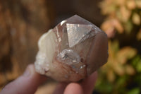 Natural Red Hematoid Quartz Specimens x 12 From Karoi, Zimbabwe