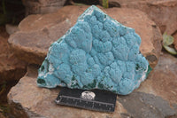 Natural Blue Chrysocolla On Silky Malachite Matrix Specimen  x 1 From Kulukuluku, Congo - Toprock Gemstones and Minerals 