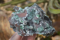 Natural Drusy Coated Ball Malachite On Dolomite Specimens x 2 From Likasi, Congo