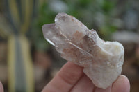 Natural Red Hematoid Quartz Specimens x 12 From Karoi, Zimbabwe