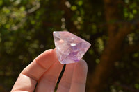 Polished Skeletal Smokey Amethyst Window Quartz Crystals  x 12 From Madagascar - TopRock