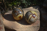 Polished Septaria Spheres x 2 From Mahajanga, Madagascar