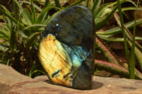 Polished Labradorite Standing Free Form With A Full Face Flash x 1 From Tulear, Madagascar - TopRock