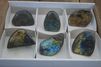 Polished Labradorite Standing Free Forms  x 6 From Madagascar