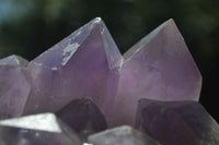 Natural Jacaranda Amethyst Clusters x 2 From Mumbwa, Zambia - TopRock