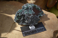 Natural Drusy Coated Ball Malachite On Dolomite Specimens x 2 From Likasi, Congo