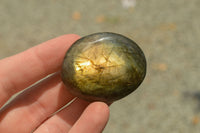 Polished Flashy Labradorite Palm Stones  x 24 From Tulear, Madagascar - TopRock