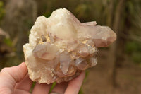 Natural Red Hematoid Phantom Quartz Clusters  x 4 From Zambia - TopRock