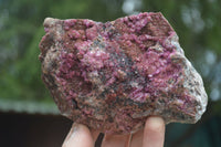 Natural Extra Large Salrose Cobaltion Dolomite Specimens x 2 From Kakanda, Congo - Toprock Gemstones and Minerals 