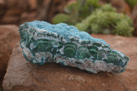 Natural Blue Chrysocolla On Silky Malachite Matrix Specimen  x 1 From Kulukuluku, Congo - Toprock Gemstones and Minerals 