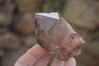 Natural Red Hematoid Quartz Specimens x 12 From Karoi, Zimbabwe