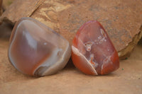 Polished Red Sache River Agate Nodules x 12 From Sashe River, Zimbabwe