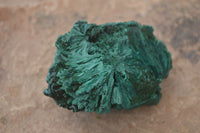 Natural Chatoyant Silky Malachite Specimens  x 6 From Kasompe, Congo - TopRock