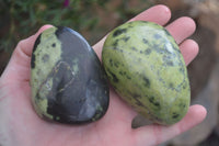 Polished Spotted Leopard Stone Free Forms  x 4 From Zimbabwe