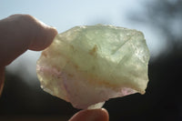 Natural Rough Watermelon Fluorite Cobbed Specimens  x 35 From Uis, Namibia