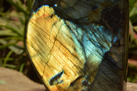 Polished Labradorite Standing Free Form With A Full Face Flash x 1 From Tulear, Madagascar - TopRock