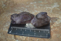 Natural Window Amethyst Crystals  x 12 From Chiredzi, Zimbabwe