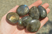 Polished Flashy Labradorite Palm Stones  x 24 From Tulear, Madagascar - TopRock