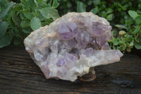 Natural Jacaranda Amethyst Cluster x 1 From Mumbwa, Zambia - TopRock