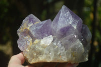 Natural Jacaranda Amethyst Clusters x 2 From Mumbwa, Zambia - TopRock