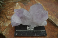 Natural Jacaranda Amethyst Clusters  x 3 From Mumbwa, Zambia - Toprock Gemstones and Minerals 