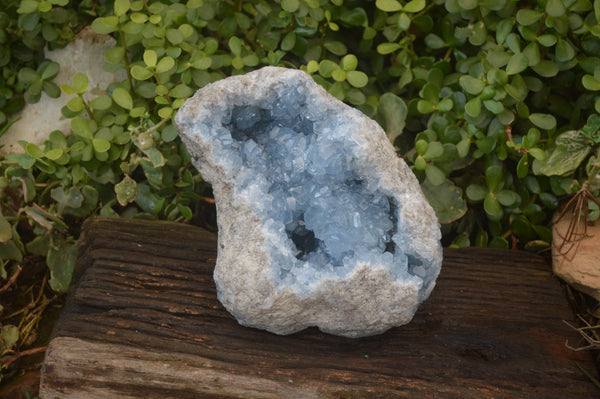 Natural Blue Celestite Geode Specimen  x 1 From Sakoany, Madagascar