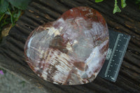 Polished Extra Large Petrified Red Podocarpus Wood Heart  x 1 From Mahajanga, Madagascar - Toprock Gemstones and Minerals 